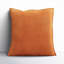 Edgar 100% Cotton Throw Pillow-1639443899-1615746070-1724832881