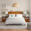Pieds en bois massif Boneva Mid-Century Modern-96122418-96122415