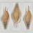 2 Piece Sea Shell Shadow Box Wall Décor Set