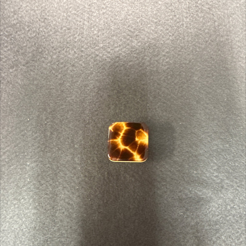 (5 Pack) 1-3/8 inch  Tortoise Safari Knob