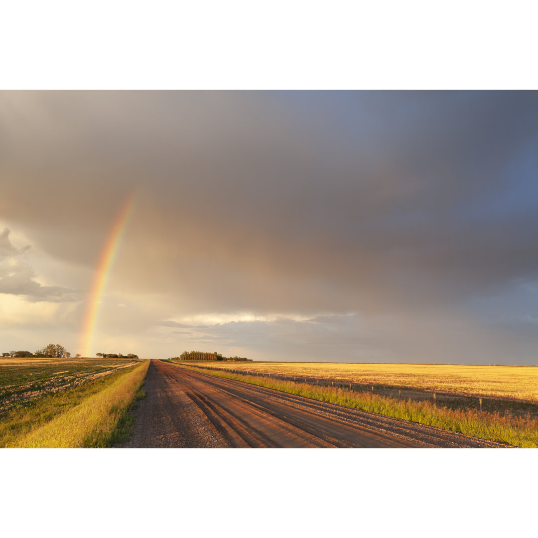 Saskatchewan Kanada Sturmjagd von Mysticenergy - Leinwanddrucke auf Leinwand