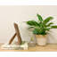 Bramley Brown Wood Picture Frame-900726418
