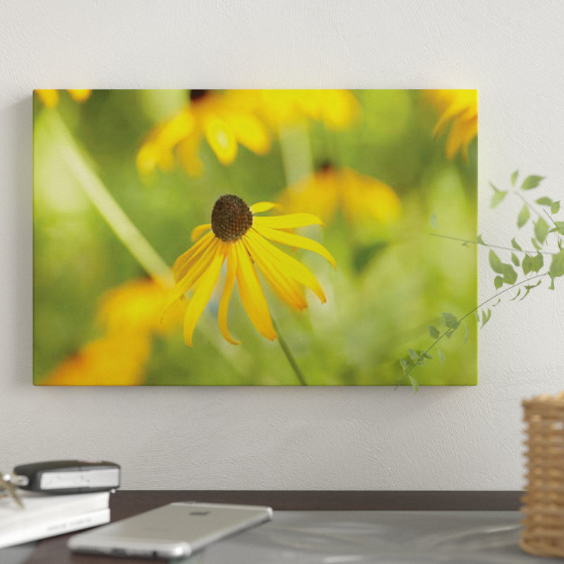 « susan study i », reproduction de photo sur toile, H 26 po x l 40 po x P 1,5 po, Toile tendue, Pas de tapis