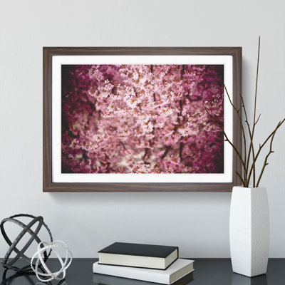 Pink Cherry Blossom Flowers Vol.5 - Framed Print