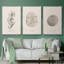 Shore Treasure Study I 3 pièces-97711696-97711700