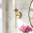 Natural Brass selected