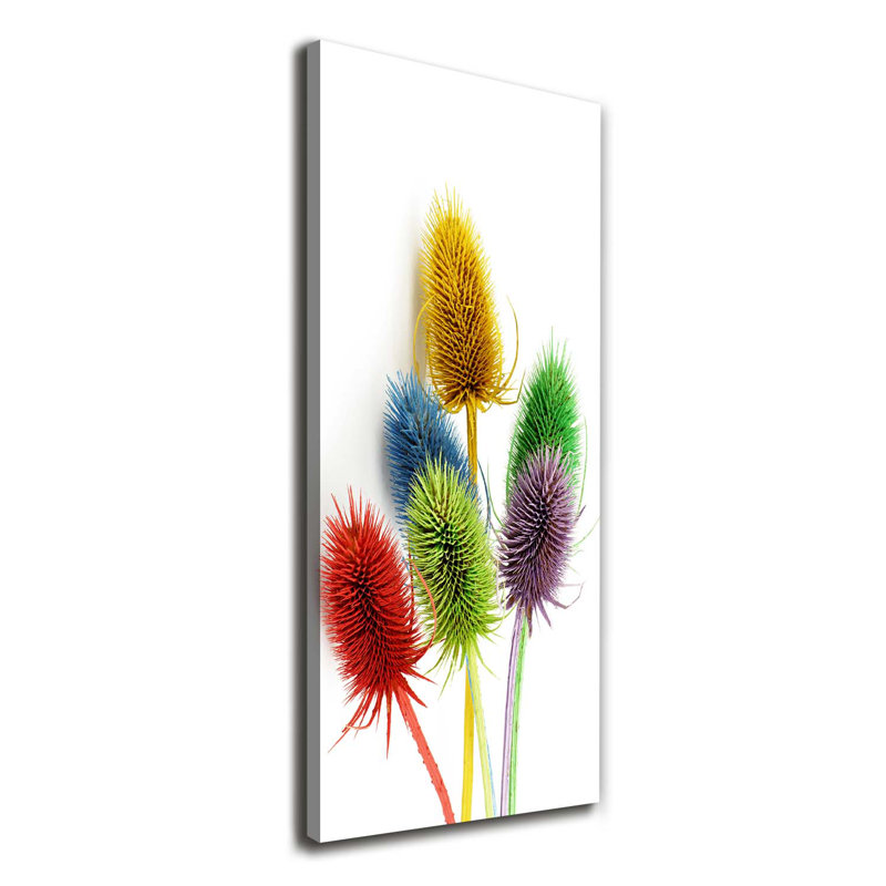 Thistle - Wrapped Canvas Print