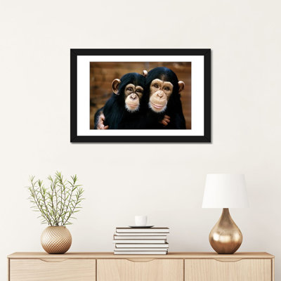 «Chimpanzees Wall Art Print», papier d'art encadré