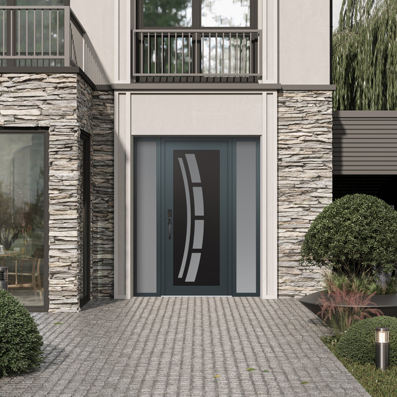 C12 60 po à droite X 80 po Panneau en acier noir anthracite et verre givré anthracite avec 2 portes d'entrée en verre givré