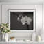 Orchid In Black & White Giclee Print