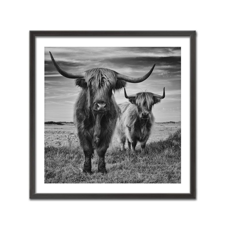 Highlands par Stephane Pecqueux - reproduction de cadre photo sur bois, L 16 po x H 16 po