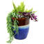 Capteur de fleurs rondes en céramique 11,5 po x 11,5 po x 14 po Captivating Vista - Beachcomber-367576328-367576343
