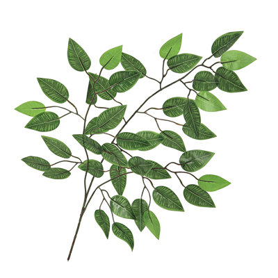 Ficus artificiel, tige, plante, verdure, feuillage, branche