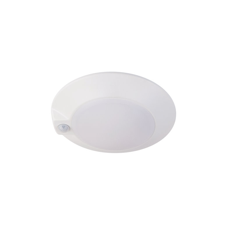 Disc Acrylic LED Flush Mount