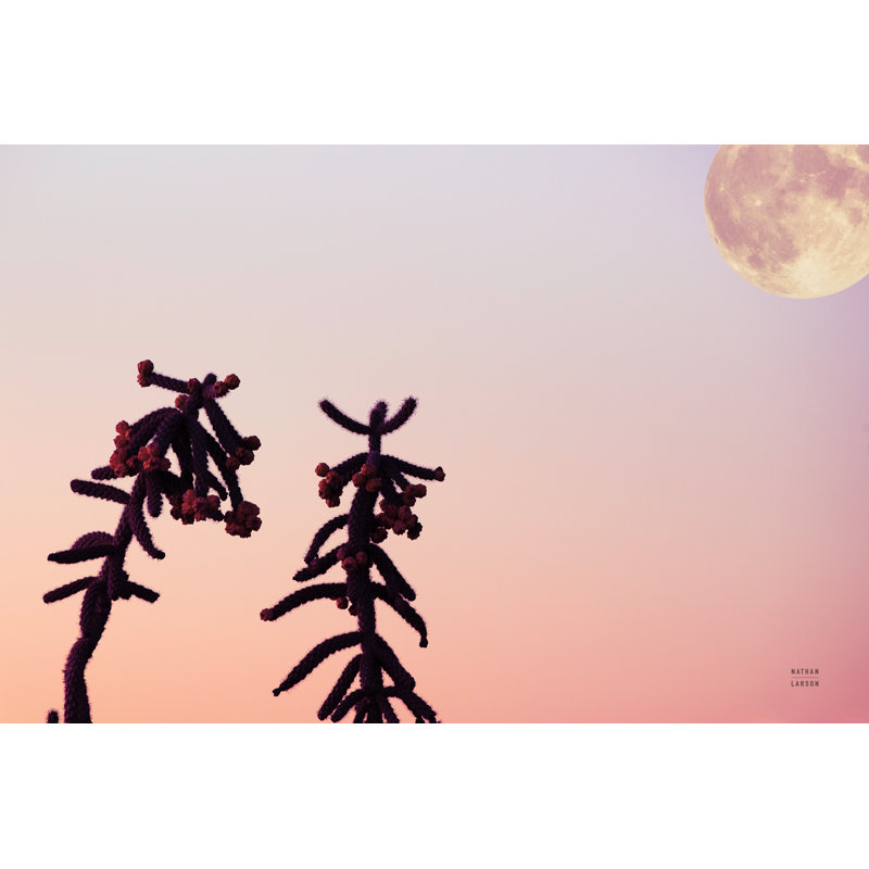 «Moon Desert» par Nathan Larson, photographie, H 32 po x l 48 po, Papier avec cadre simple noir avec passe-partout