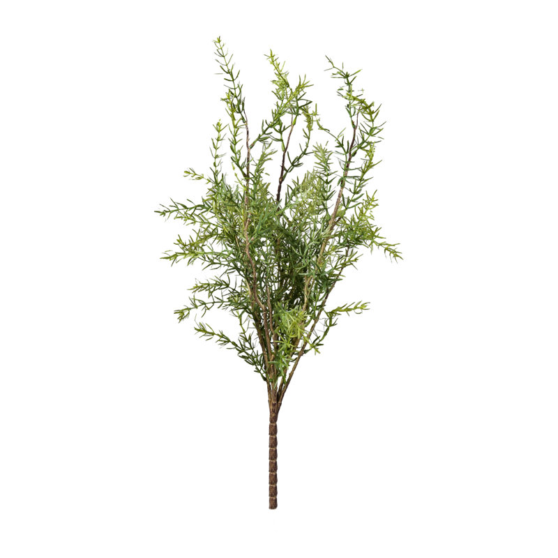 Ophelia & Co., 24 po, choix de romarin, paquet de 12