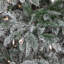 Lighted Artificial Fir Christmas Tree