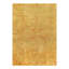 Oriental Area Rug in Gold