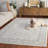 Aayushi Performance Oriental Rug-431525372