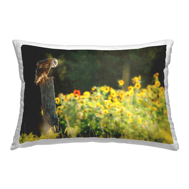 Coussin décoratif hibou perché dans le pré par Carrie Ann Grippo-Pike