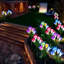 Lumières florales multicolores - panneau solaire à haute efficacité, temps de travail de 8 à 10 heures pour la décoration de jardin de cour / pelouse / allée incontournable