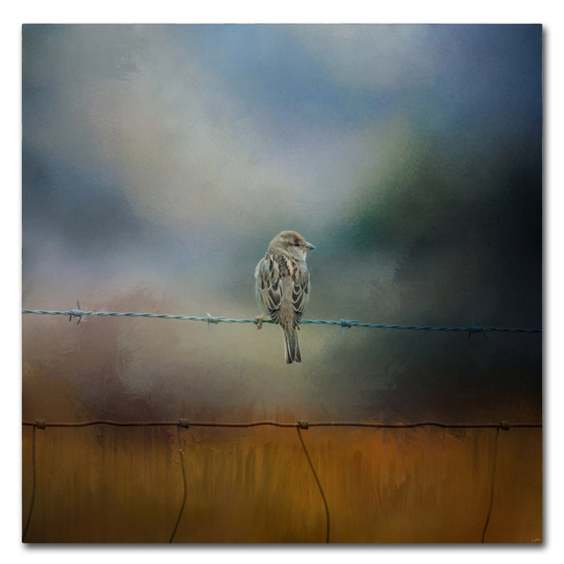 «Fence Master», impression sur toile tendue Vidur, H 35 po x l 35 po
