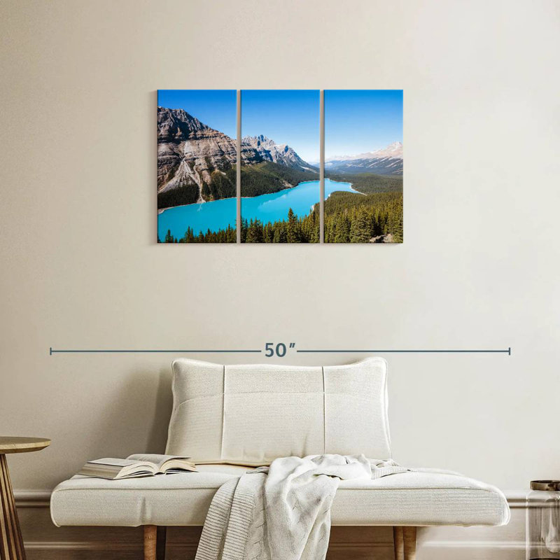 Alamar, aigue-marine, lac Peyto, H 20 po x l 33 po