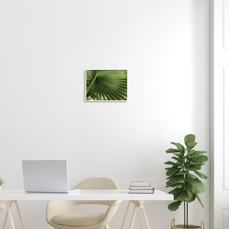 Gros plan sur une feuille de palmier, H 11 po x l 14 po x P 1,5 po, Giclée encadrée blanc bord de mer