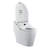 Dual-Flush Elongated Bidet Toilet (Seat Included)