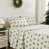 Spode