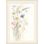 Oxeye Daisies 1 Print-835049830
