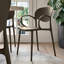 Abby Chairs-287926030