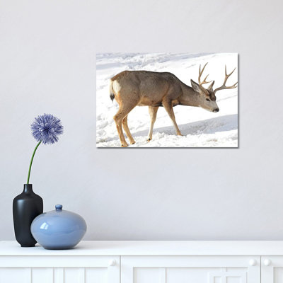 Mule Deer by Brian Wolf - Wrapped Canvas Print