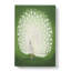 Peacock - Wrapped Canvas-55341686
