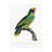 Bolog " Levaillant Parrot IX " on-98233208