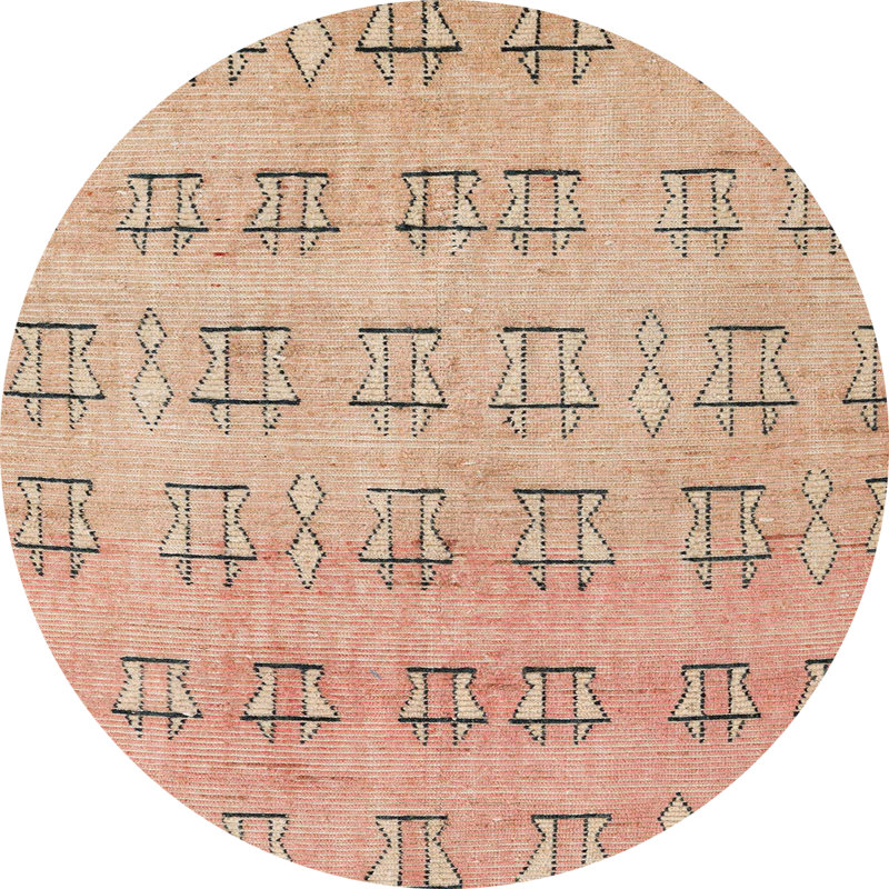Ameja Indoor Rug, Round 5'
