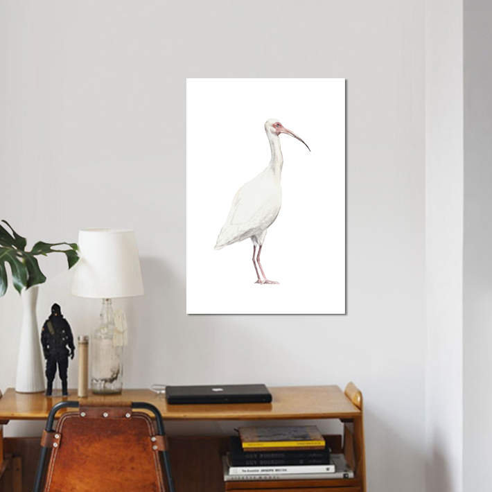" Ibis ", 26" H x 18" W x 1.5" D, Wrapped Canvas, No Mat