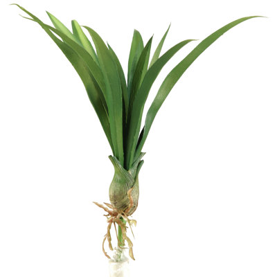 15'' Faux Lily Grass Grass