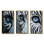 " Striking Zebra Patterns " 3 - Pieces