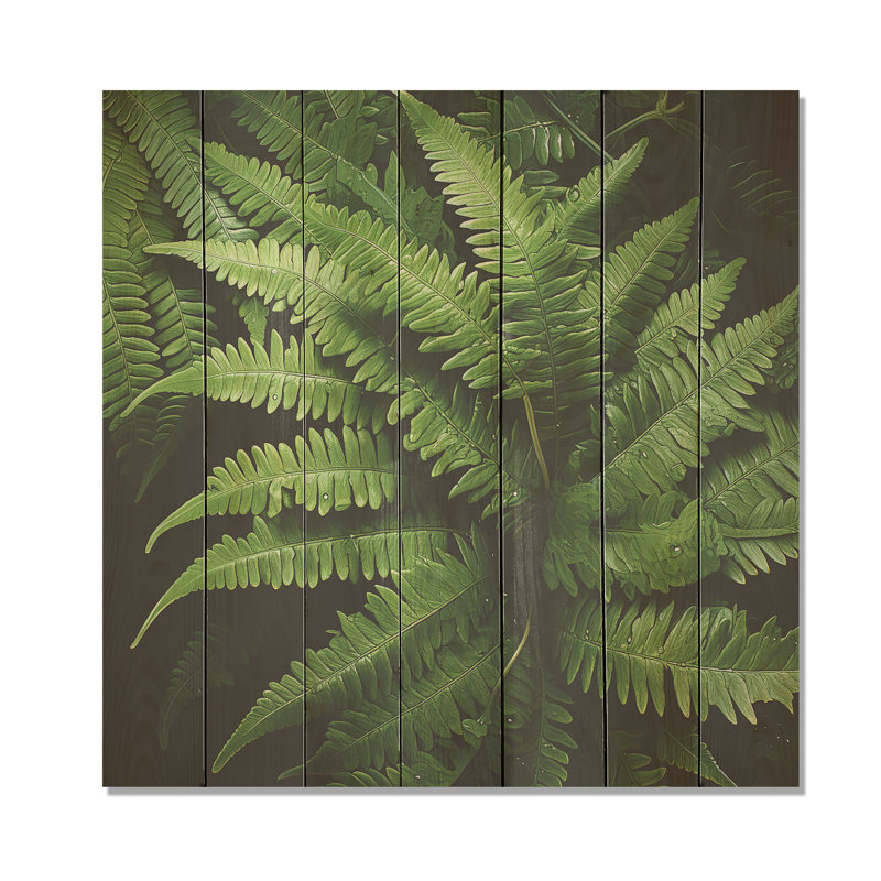 «Green Fern Forest Beauty I» - fougères sur bois, H 15 po x l 15 po