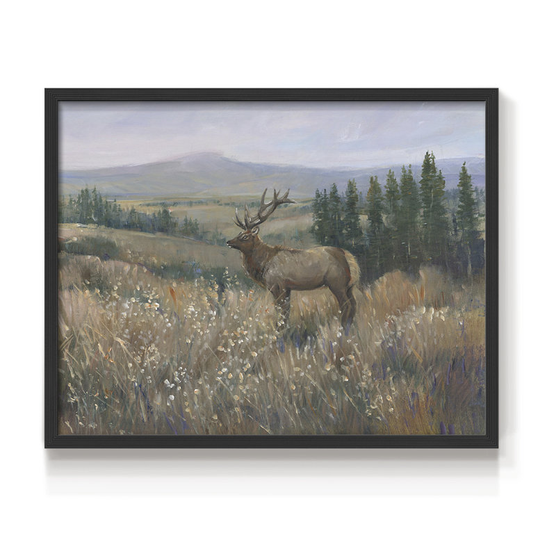 Western Wildlife II -Framed Print - Restickable, H 11 po x l 14 po, Noir, noir, noir, noir