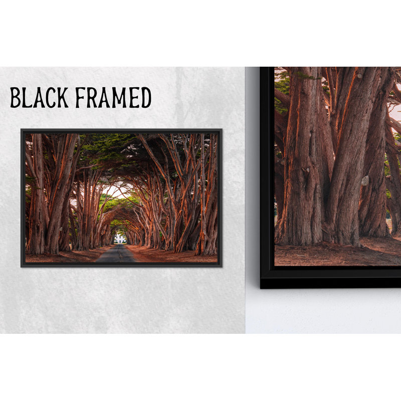 Art mural en verre Cypress Tree Tunnel: reproduction d'art sur toile, 1P, 31,6 po H x 43,4 po l
