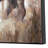 Bolting Bison Rustic Framed Canvas Wall Art