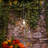 Hanneli Battery Operated Starburst Lights with Remote Control - 2 Piece-693183349-693183305