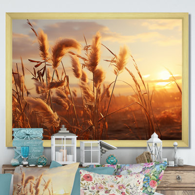 Coucher de soleil, Meadows d'été I