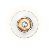 New Wave 1 - Light Flush Mounted Sconce