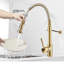 Belfry Kitchen Arradene Pull Down Kitchen Faucet