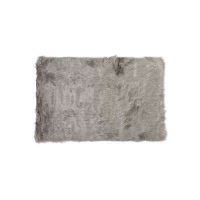 Tapis gris Upper Swainswick