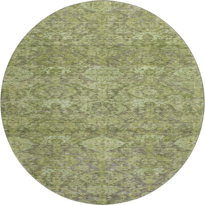 Premium Machine Washable Dahl AMF1084 Damask Rug