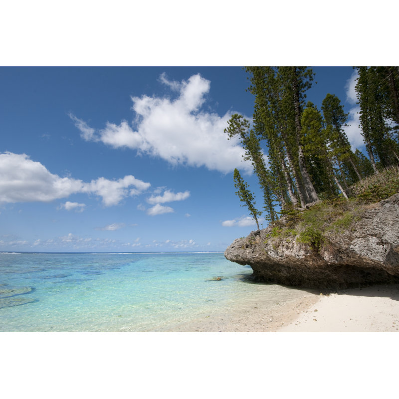 Yejele Beach Pines by Mlauri - Wrapped Canvas Print, 30cm H x 46cm W